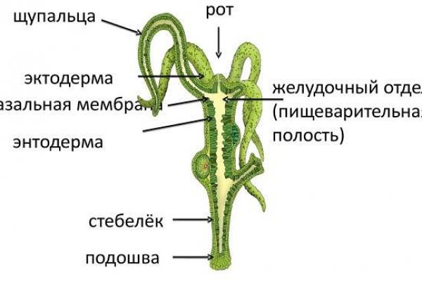 Кракен телеграм каналы