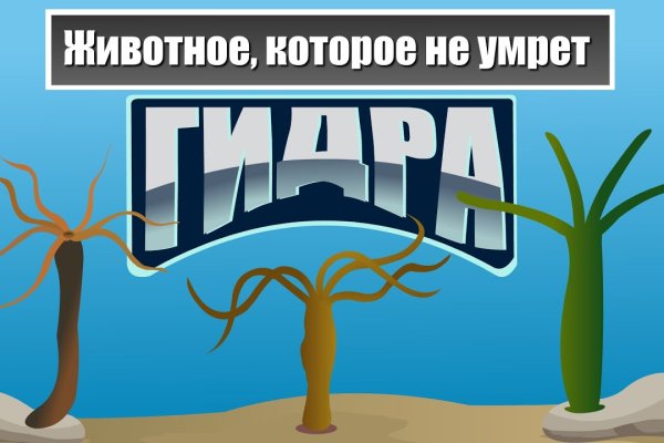 Tor kraken маркет