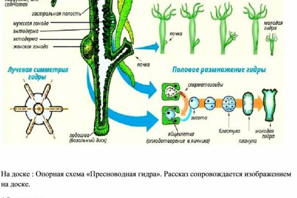 Кракен 15at